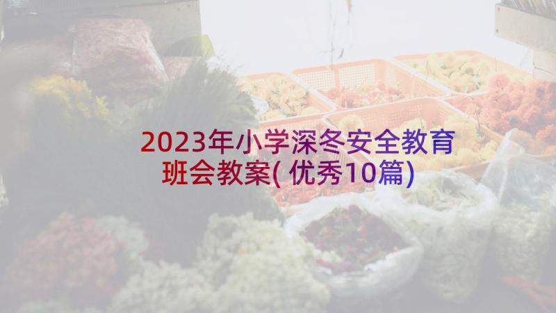 2023年小学深冬安全教育班会教案(优秀10篇)