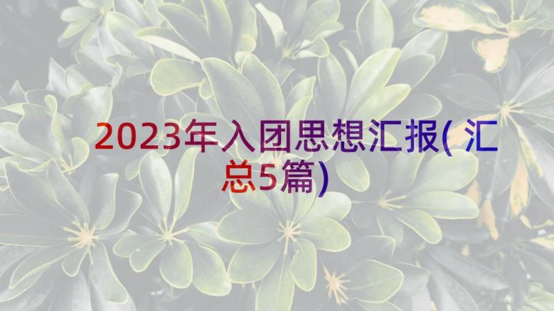 2023年入团思想汇报(汇总5篇)