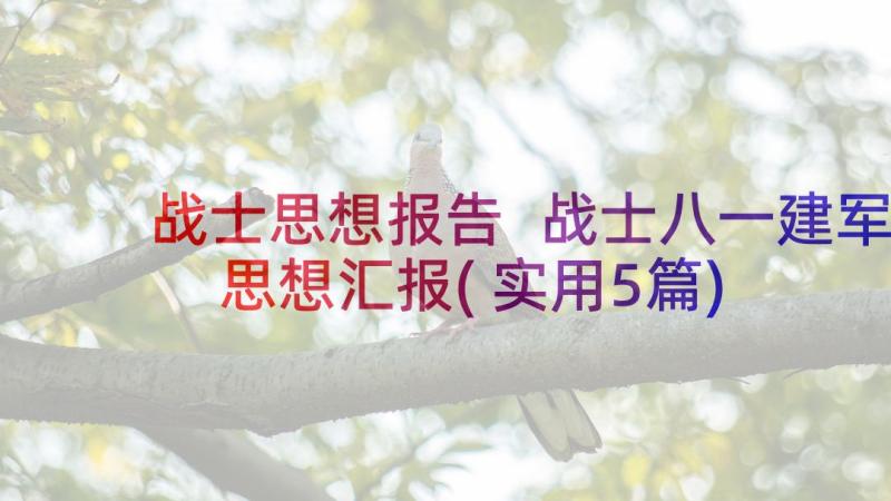 战士思想报告 战士八一建军思想汇报(实用5篇)