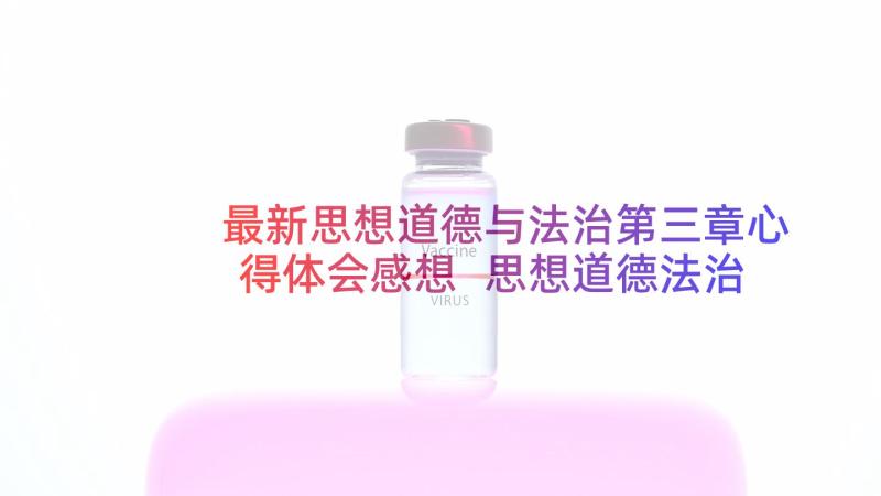 最新思想道德与法治第三章心得体会感想 思想道德法治心得体会(模板5篇)