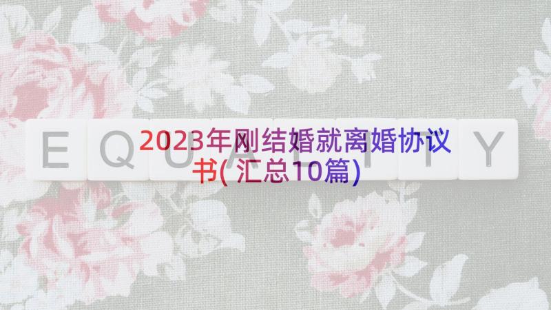 2023年刚结婚就离婚协议书(汇总10篇)