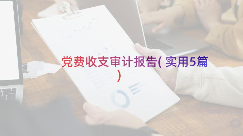 党费收支审计报告(实用5篇)