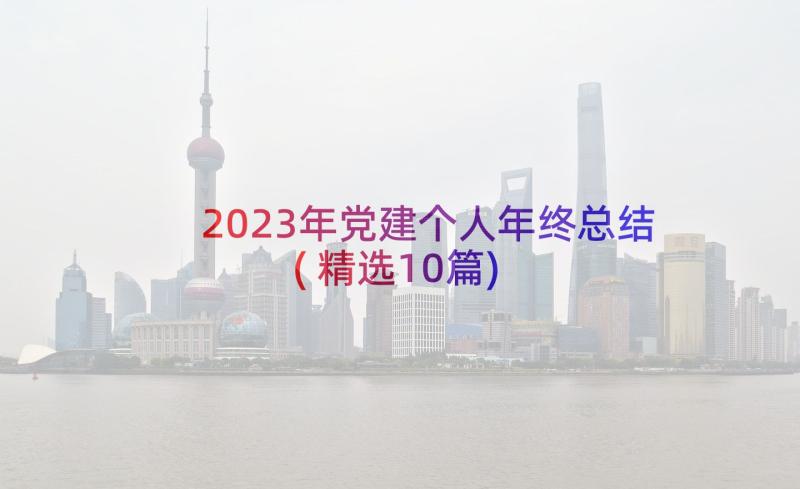 2023年党建个人年终总结(精选10篇)