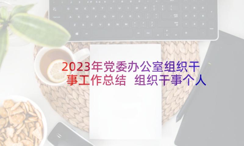 2023年党委办公室组织干事工作总结 组织干事个人工作总结(实用5篇)