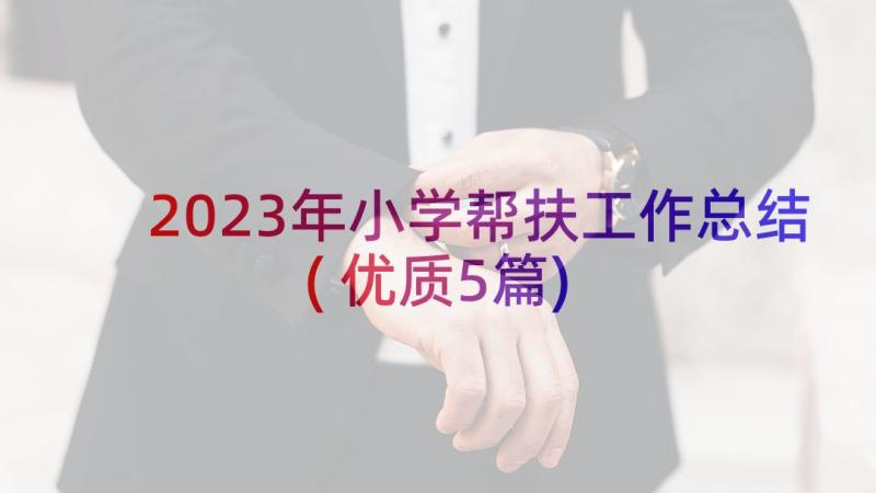 2023年小学帮扶工作总结(优质5篇)