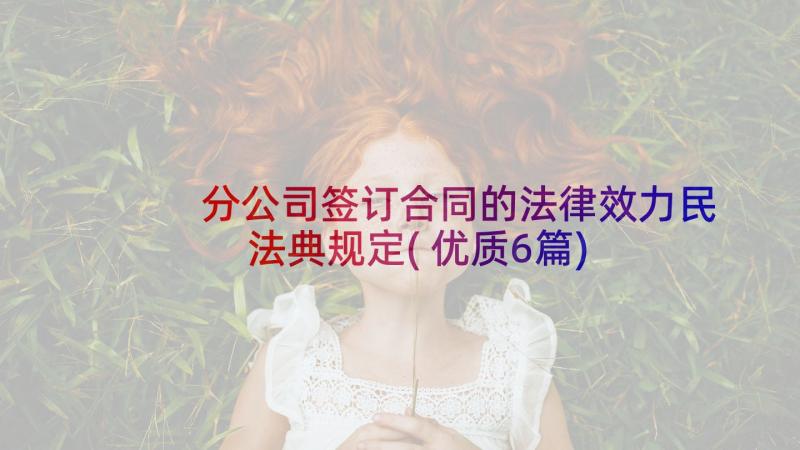 分公司签订合同的法律效力民法典规定(优质6篇)