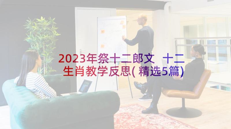 2023年祭十二郎文 十二生肖教学反思(精选5篇)