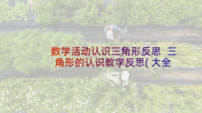 数学活动认识三角形反思 三角形的认识教学反思(大全5篇)