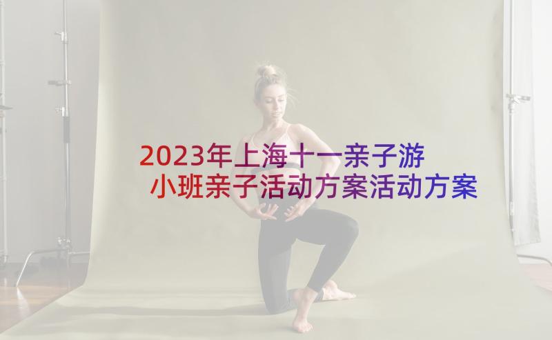 2023年上海十一亲子游 小班亲子活动方案活动方案(模板5篇)
