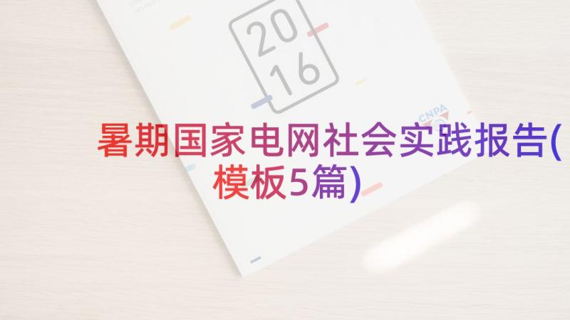 暑期国家电网社会实践报告(模板5篇)