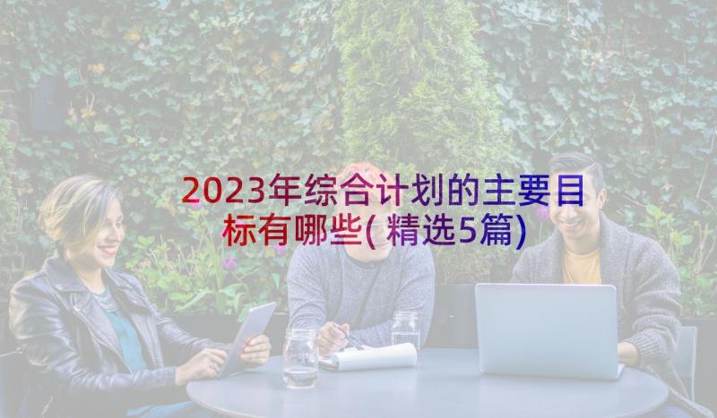 2023年综合计划的主要目标有哪些(精选5篇)