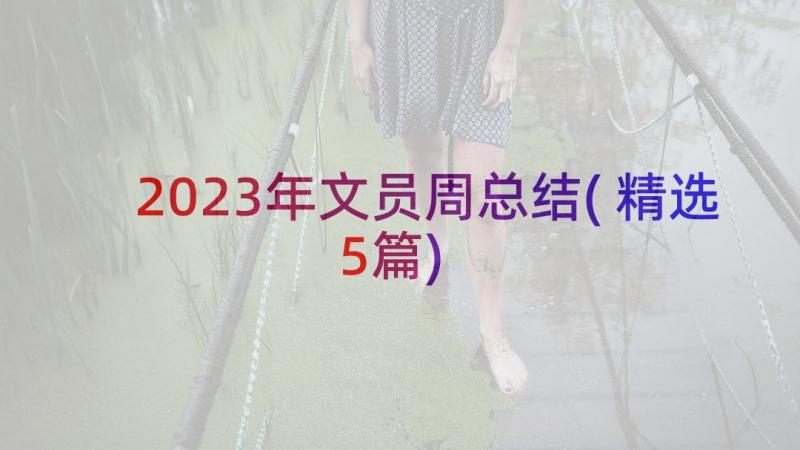 2023年文员周总结(精选5篇)