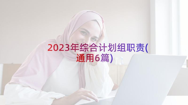 2023年综合计划组职责(通用6篇)