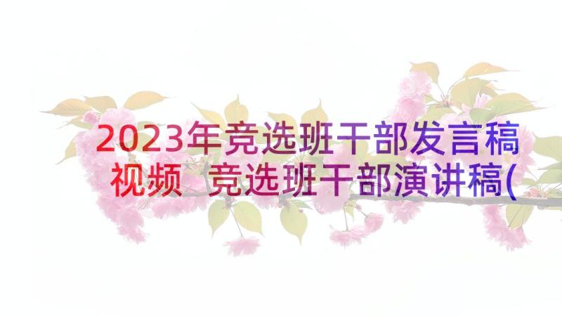 2023年竞选班干部发言稿视频 竞选班干部演讲稿(模板6篇)