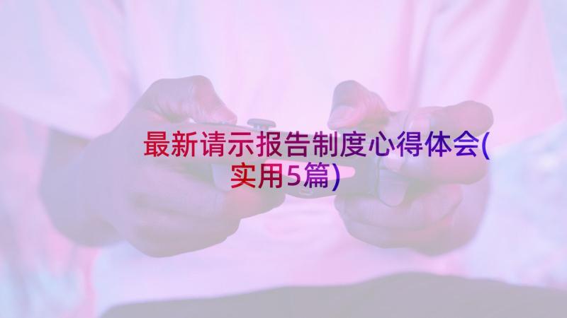 最新请示报告制度心得体会(实用5篇)