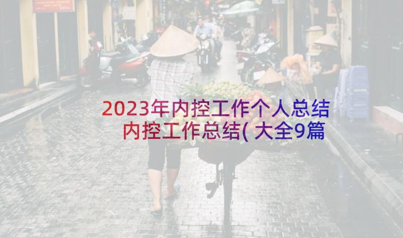 2023年内控工作个人总结 内控工作总结(大全9篇)