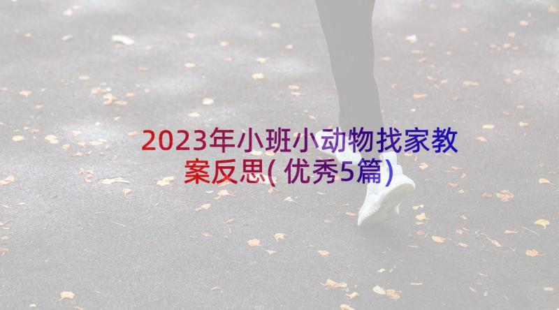 2023年小班小动物找家教案反思(优秀5篇)