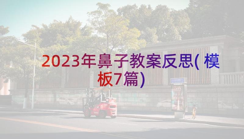 2023年鼻子教案反思(模板7篇)