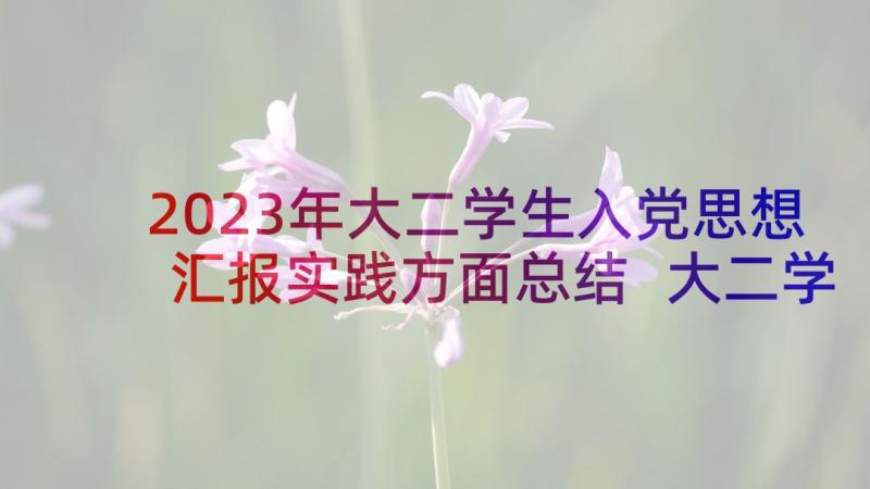 2023年大二学生入党思想汇报实践方面总结 大二学生入党转正思想汇报(大全5篇)