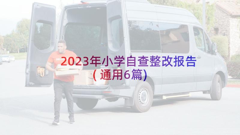 2023年小学自查整改报告(通用6篇)