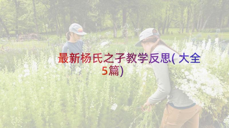 最新杨氏之孑教学反思(大全5篇)