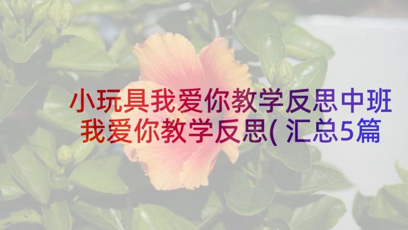 小玩具我爱你教学反思中班 我爱你教学反思(汇总5篇)