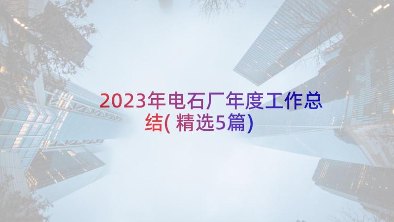 2023年电石厂年度工作总结(精选5篇)