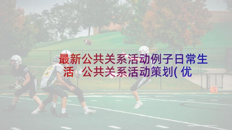 最新公共关系活动例子日常生活 公共关系活动策划(优质5篇)