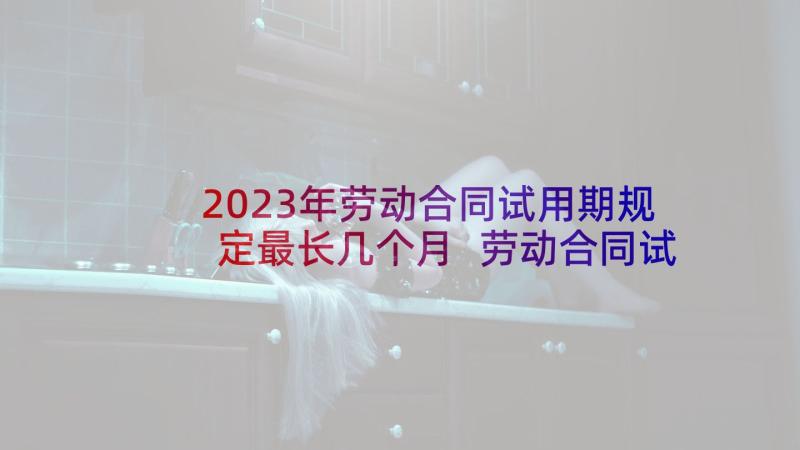 2023年劳动合同试用期规定最长几个月 劳动合同试用期规定(优秀8篇)