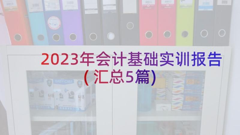 2023年会计基础实训报告(汇总5篇)