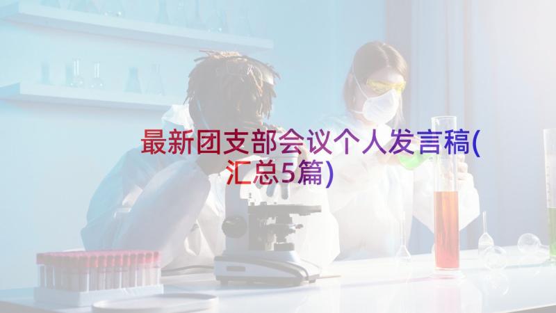 最新团支部会议个人发言稿(汇总5篇)