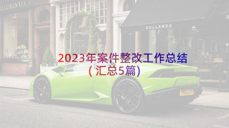 2023年案件整改工作总结(汇总5篇)