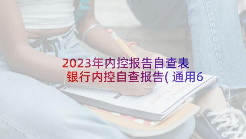 2023年内控报告自查表 银行内控自查报告(通用6篇)