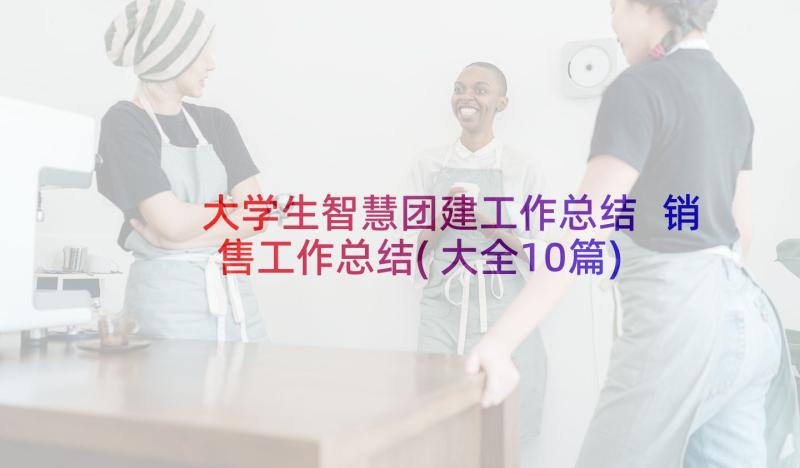 大学生智慧团建工作总结 销售工作总结(大全10篇)