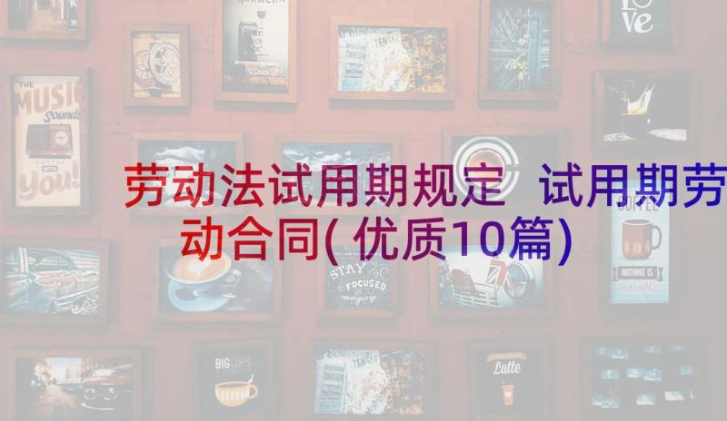 劳动法试用期规定 试用期劳动合同(优质10篇)