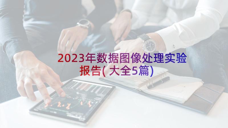 2023年数据图像处理实验报告(大全5篇)