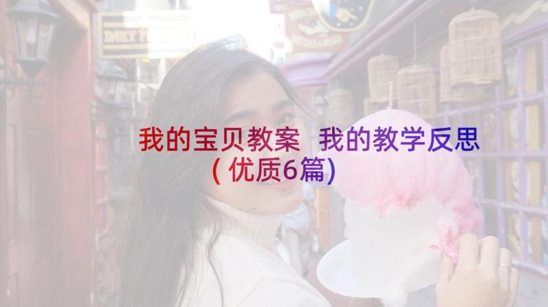 我的宝贝教案 我的教学反思(优质6篇)