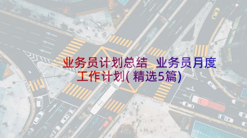 业务员计划总结 业务员月度工作计划(精选5篇)