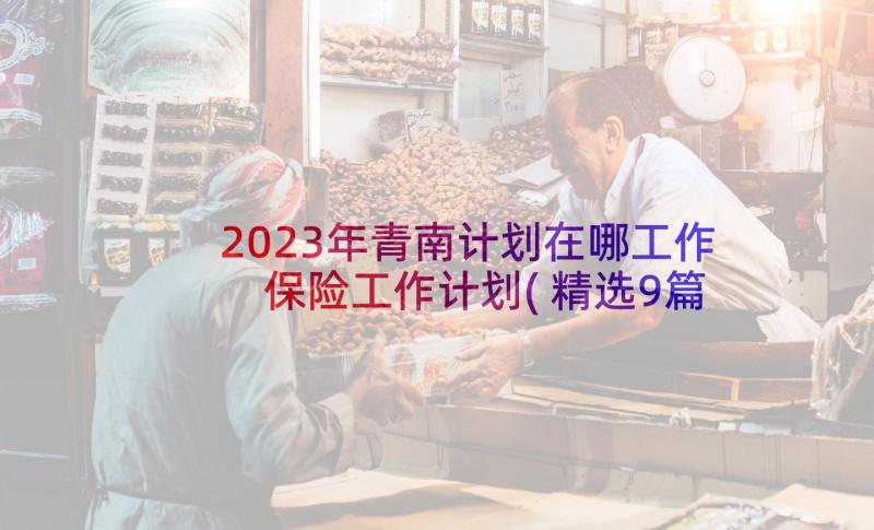 2023年青南计划在哪工作 保险工作计划(精选9篇)