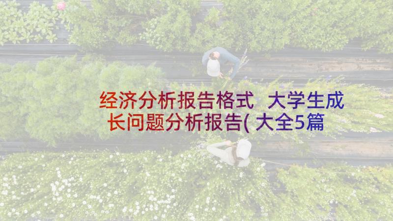 经济分析报告格式 大学生成长问题分析报告(大全5篇)