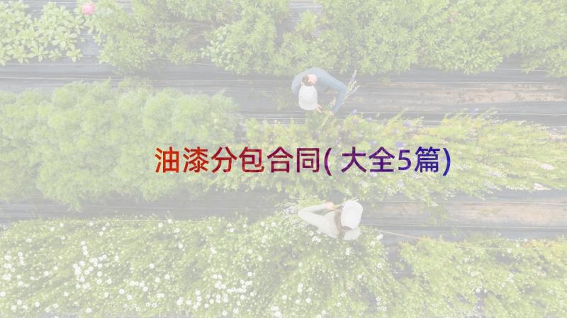 油漆分包合同(大全5篇)