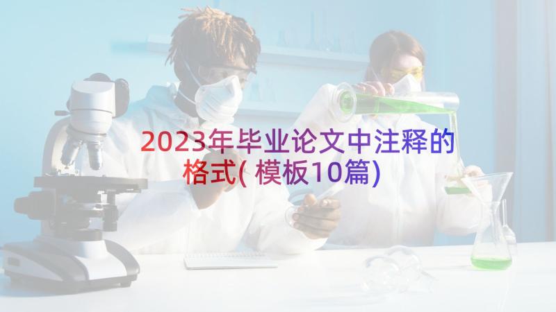 2023年毕业论文中注释的格式(模板10篇)