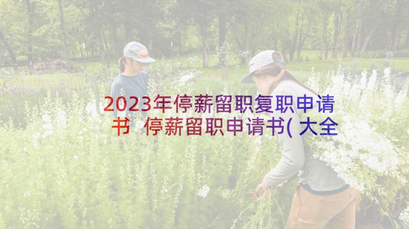 2023年停薪留职复职申请书 停薪留职申请书(大全10篇)