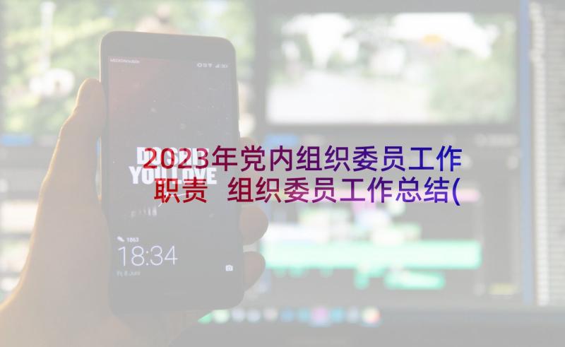 2023年党内组织委员工作职责 组织委员工作总结(模板6篇)