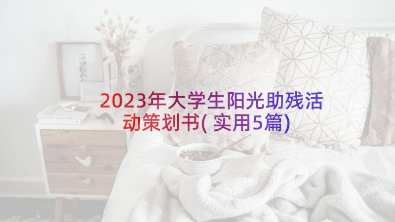 2023年大学生阳光助残活动策划书(实用5篇)