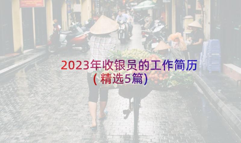 2023年收银员的工作简历(精选5篇)