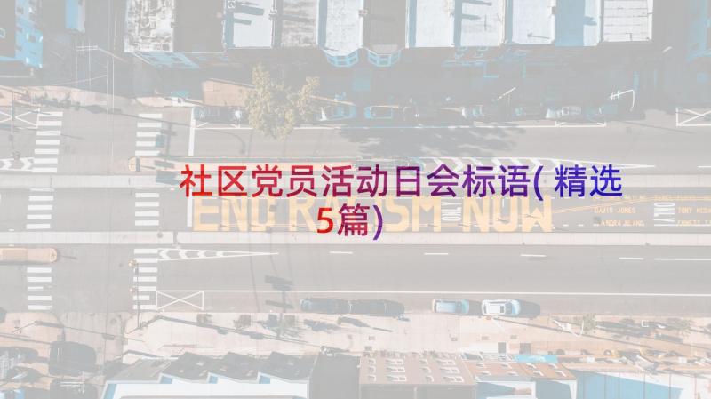 社区党员活动日会标语(精选5篇)