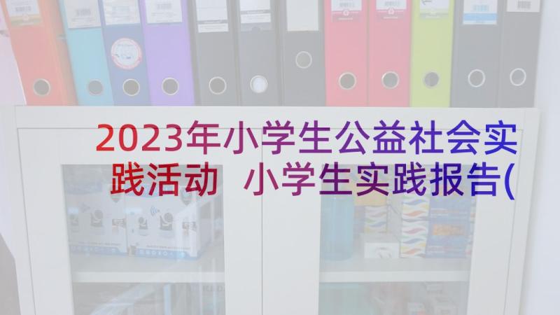 2023年小学生公益社会实践活动 小学生实践报告(优秀5篇)