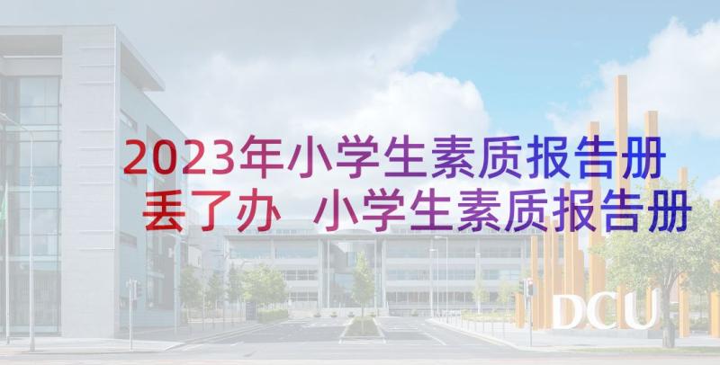 2023年小学生素质报告册丢了办 小学生素质报告册评语(精选10篇)