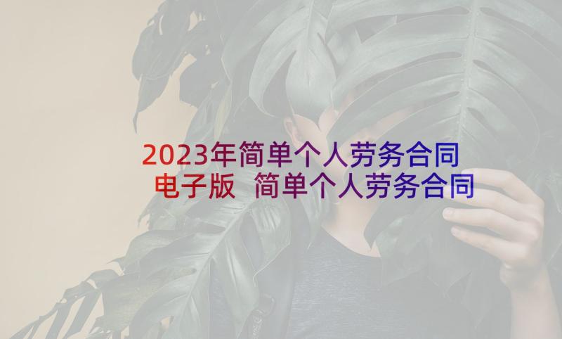 2023年简单个人劳务合同电子版 简单个人劳务合同(通用9篇)